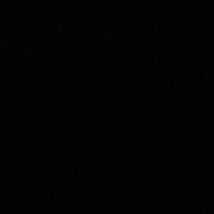 Meet your Posher, Max